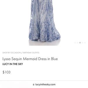 Lucy in the sky Lyssa Sequin Mermaid Dress in blue (never worn before)